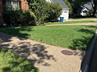 Sheri H.'s Lawn Care service result