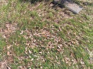 Cleanups by David Flores for Dee W. in Haslet, TX