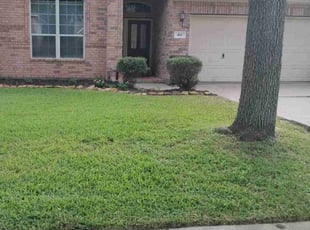 Khoa T.'s Lawn Maintenance service result