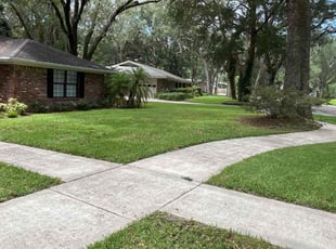 Michelle L.'s Lawn Service service result