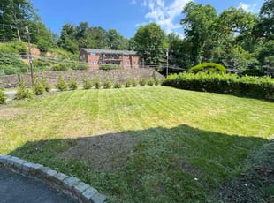 Mike B.'s Lawn Mowing service result