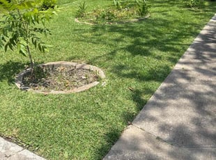 Lynn K.'s Lawn Mowing Service service result