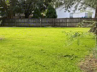 Sara R.'s Lawn Mowing service result