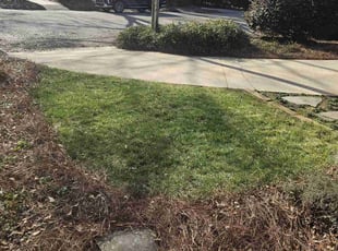 Leaf Removal by Timothy Frady for Jamie I. in Greenville, SC