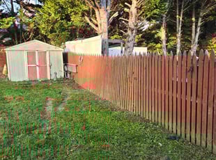 Bush Trimming by Billy Stone for Mary C. in Abingdon, MD