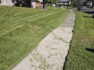 Frances A.'s Lawn Service service result