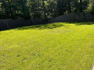 Raymond L.'s Lawn Mowing Service service result