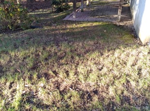Leaf Removal by Giovanni HErnandez for Eula H. in Clinton, MD