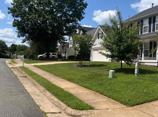 Tracy B.'s Lawn Service service result