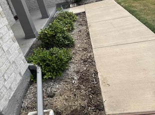 Weeding by Jose Vega for Laporche C. in Lavon, TX