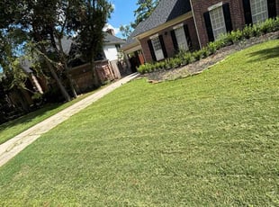 Maria E.'s Lawn Mowing service result
