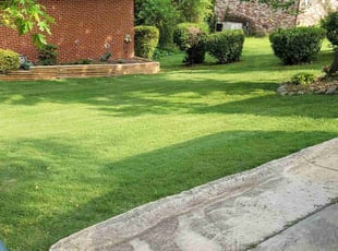 Christopher W.'s Lawn Mowing service result