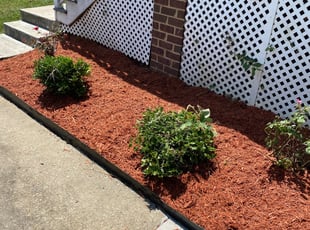 Mulching by Aaron Kinchen for Janice F. in Richmond, VA