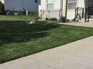 Sheryl T.'s Lawn Mowing service result