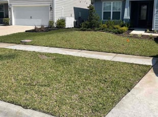 Carol D.'s Lawn Care service result
