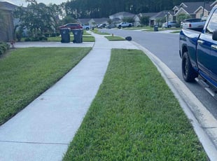 Missy B.'s Grass Cutting service result