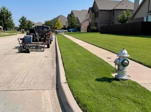 Samantha W.'s Lawn Mowing service result