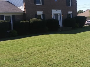 Bush Trimming by Chris Slone for Lucy W. in Woodlawn Park, KY