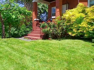 Ryan W.'s Grass Cutting service result
