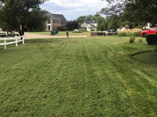 Sarah F.'s Lawn Mowing Service service result