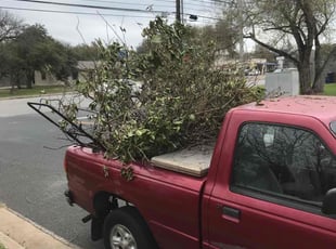 Leaf Removal by Michael Schriner for Mary M. in Austin, TX