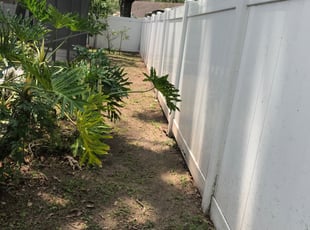 Leaf Removal by William Chavers for Rami I. in Brandon, FL