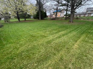 Bob b.'s Lawn Care service result