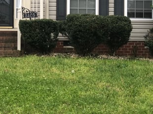 Bush Trimming by Aaron Kinchen for Rhonda F. in Richmond, VA