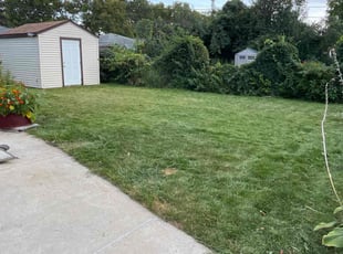 Laverne M.'s Lawn Mowing Service service result