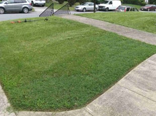 Charmaigne H.'s Grass Cutting service result