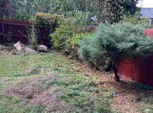 Cleanups by Sean Patterson for Emily B. in Littleton, CO