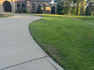 Robin S.'s Yard Cutting service result