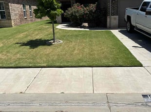 Dean M.'s Lawn Service service result