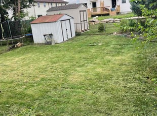 Osmond B.'s Lawn Maintenance service result