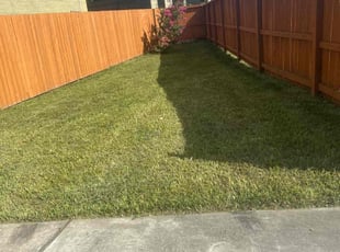 Terry L.'s Lawn Service service result