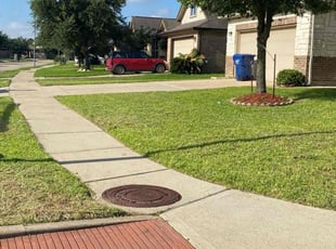 Nick G.'s Lawn Mowing service result