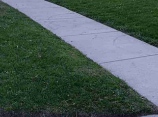 Doug R.'s Lawn Service service result