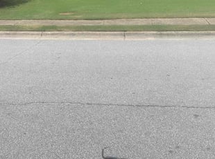 Angelique G.'s Lawn Maintenance service result