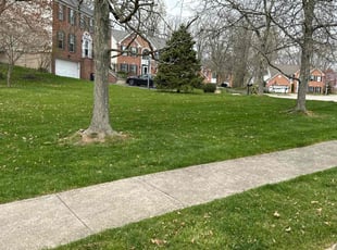 Janet F.'s Lawn Service service result