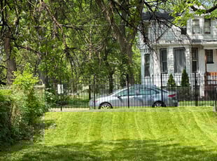 Courtney S.'s Grass Cutting service result