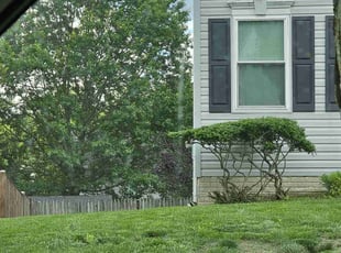 Bush Trimming by Olson Parker for Tatiana S. in Upper Marlboro, MD