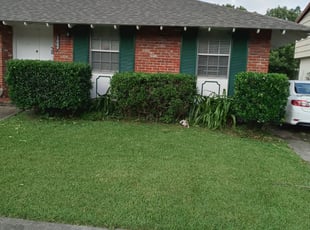 Bush Trimming by Gerald Helmke for Kye R. in Metairie, LA
