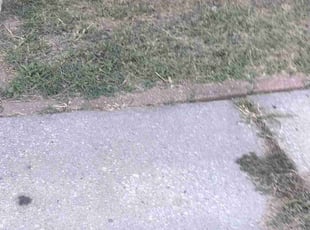 Weeding by Ronald Bell for Brandon B. in Kansas City, MO