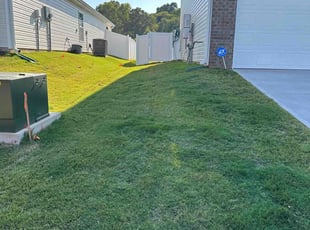 Heather G.'s Lawn Mowing service result