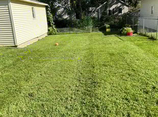 Pat A.'s Grass Cutting service result