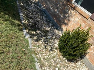 Weeding by Jose Tovar for Jaxon F. in Fort Worth, TX