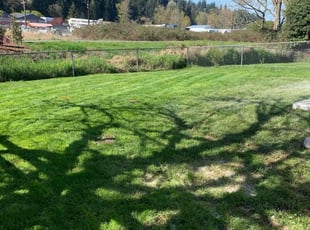 Lyn C.'s Lawn Service service result