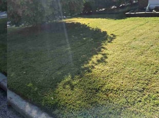 Raven M.'s Lawn Mowing service result