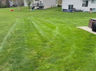 Maurice G.'s Lawn Care service result