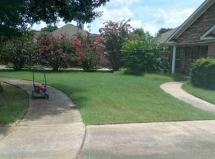 michael g.'s Lawn Mowing Service service result